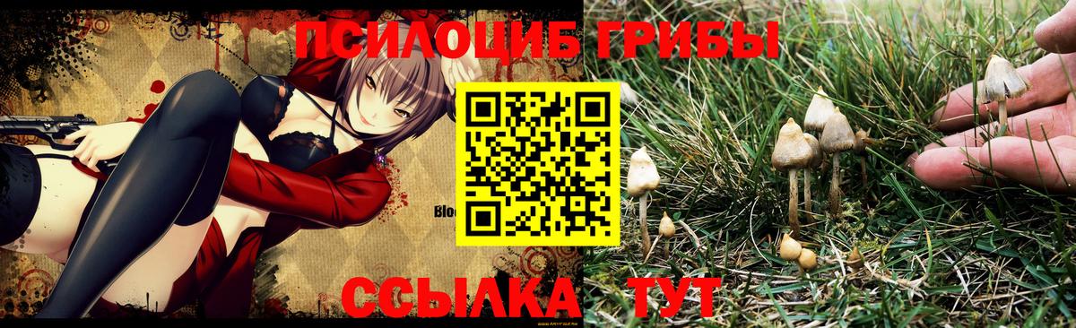 Сатка  Псилоцибиновые грибы Magic Shrooms  Псилоцибиновые грибы Magic Shrooms  Вход с VPN 